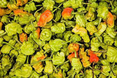 steam夏促史低游戏推荐 迅游助力畅玩游戏